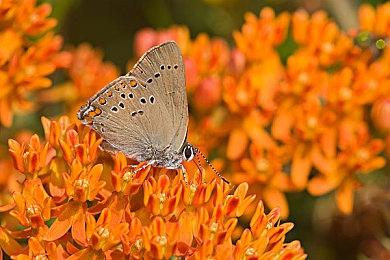 小岛秀夫表示新作“像一种新媒体” 对游戏行业革命性影响