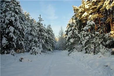 顽皮狗表示他们正在同时开发多个游戏项目